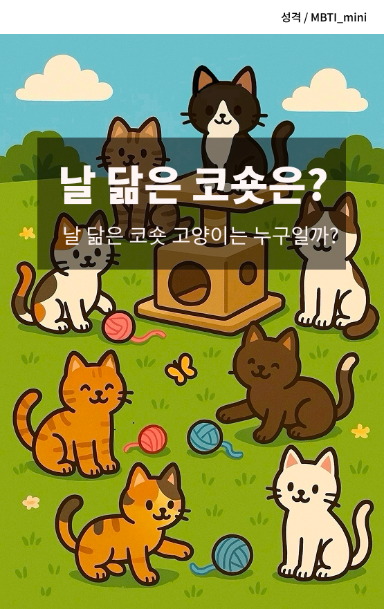 날 닮은 고양이 테스트(코숏편)